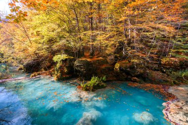 Ürederra kaynaklı renkli sonbahar manzarası, İspanya