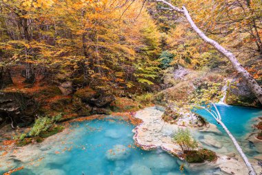 Ürederra kaynaklı renkli sonbahar manzarası, İspanya