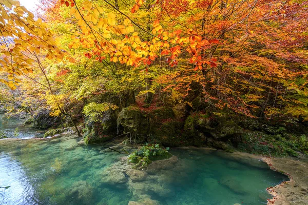 Barevná Podzimní Krajina Zdroje Urederra Španělsko — Stock fotografie