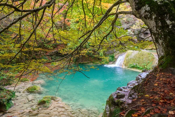 Colorato Paesaggio Autunnale Alla Fonte Urederra Spagna — Foto Stock