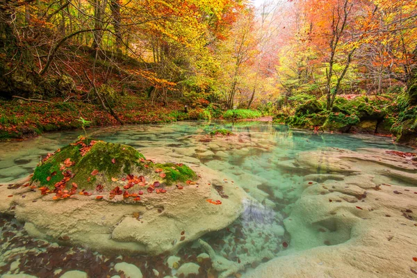 Colorful Autumn Landscape Urederra Source Spain — Stock Photo, Image