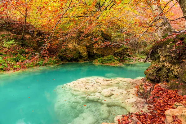 Colorato Paesaggio Autunnale Alla Fonte Urederra Spagna — Foto Stock