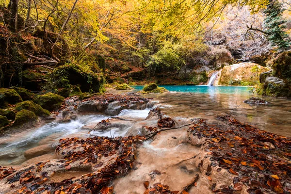 Colorful Autumn Landscape Urederra Source Spain — Stock Photo, Image