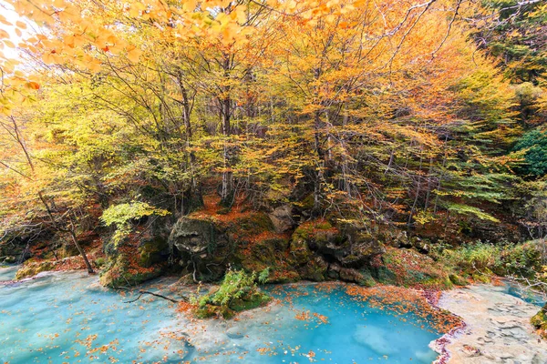 Colorato Paesaggio Autunnale Alla Fonte Urederra Spagna — Foto Stock