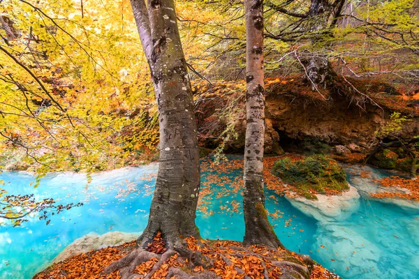 Barevná Podzimní Krajina Zdroje Urederra Španělsko — Stock fotografie