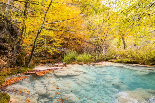 西班牙Urederra源头五彩缤纷的秋天风景 — 图库照片