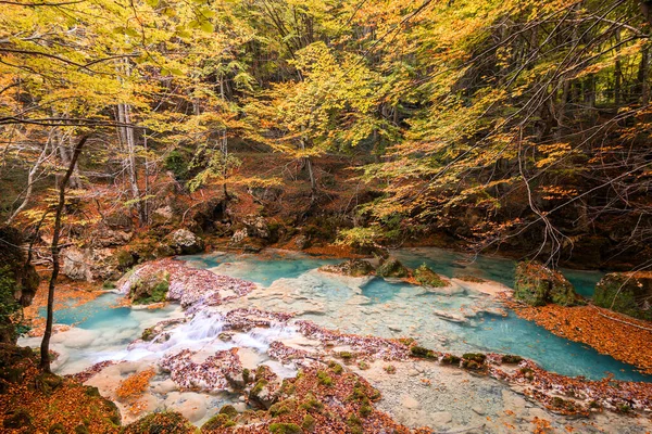 Colorato Paesaggio Autunnale Alla Fonte Urederra Spagna — Foto Stock