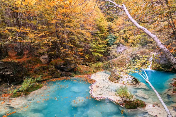 Ürederra kaynaklı renkli sonbahar manzarası, İspanya