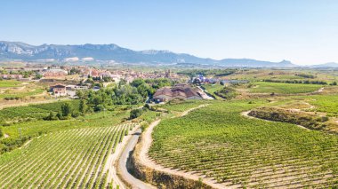 La Rioja üzüm bağlarının havadan görünüşü, İspanya
