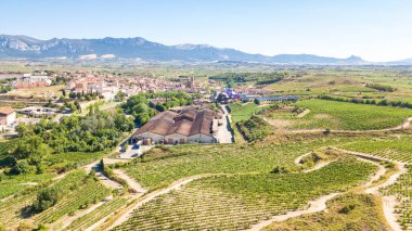 Elciego, İspanya. 13 Temmuz 2020: İspanya 'nın La Rioja kentindeki Elciego kasabasının hava manzarası