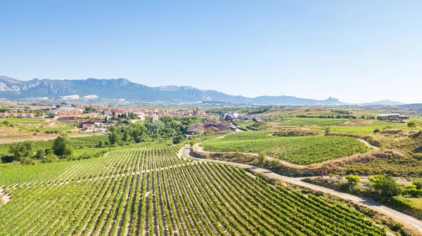 La Rioja üzüm bağlarının havadan görünüşü, İspanya
