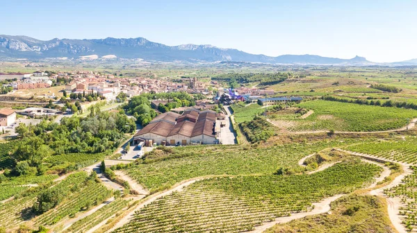 Elciego, İspanya. 13 Temmuz 2020: İspanya 'nın La Rioja kentindeki Elciego kasabasının hava manzarası