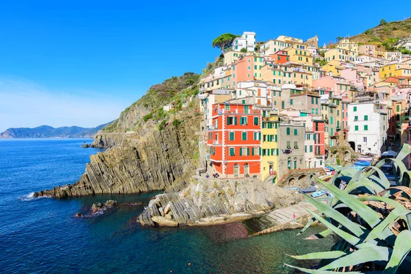 Étonnante Ville Riomaggiore Cinque Terre Italie — Photo