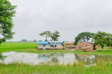 Pindaya 'daki Myanmar kırsalının panoramik görüntüsü 