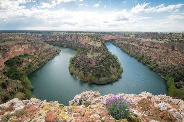İnanılmaz Aeria View of l caon del Rio Lobos wild, İspanya