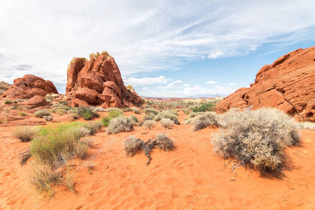 amazing sandstone shapes at valley of fire national park, nevada