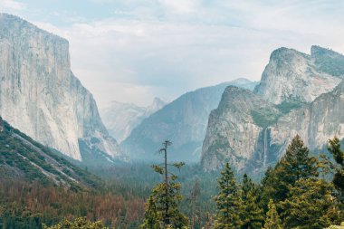 Yosemite Vadisi, Usa 'daki El Capitan Dağı' nın muhteşem manzarası.