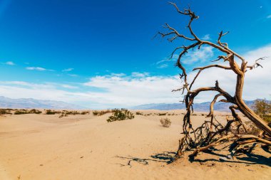 Ölüm vadisindeki Badwater havzasında çöl manzarası