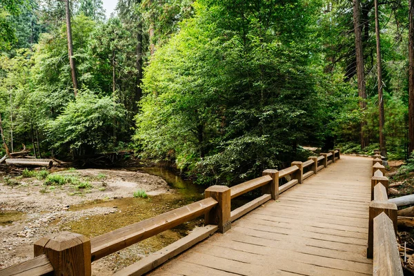 Úžasný Výhled Horu Capitan Údolí Yosemite Usa — Stock fotografie