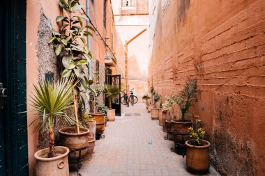 Marakeş, Fas. 4 Kasım 2017: Marakeş Medine 'nin renkli caddesi, Fas