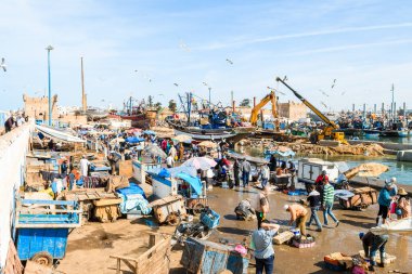 Essauria, Fas. 12 Haziran 2017: Fas balıkçı tekneleri Essaouira limanına yığıldı