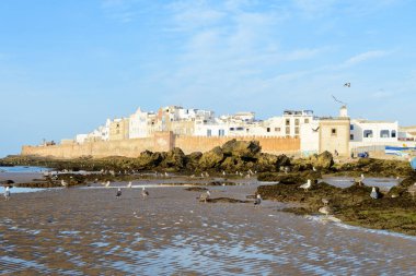 Essaouira deniz kenti, Fas manzarası