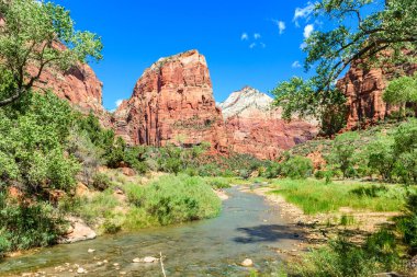 Zion Ulusal Parkı 'nın muhteşem manzarası, Utah