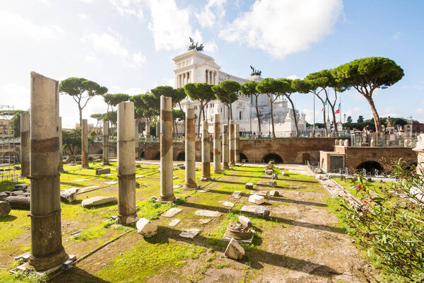 views of the famous roman forum in rome, italy