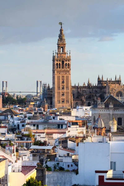 Панорамний Вид Старе Місто Севілья Дзвінком Вежі Джаральди Фоні — стокове фото