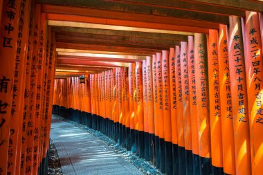 Japonya, Kyoto 'da Fushimi inari' nin kırmızı torii kapısı