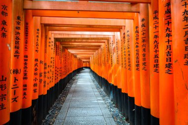 Japonya, Kyoto 'da Fushimi inari' nin kırmızı torii kapısı