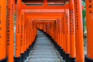 Japonya, Kyoto 'da Fushimi inari' nin kırmızı torii kapısı