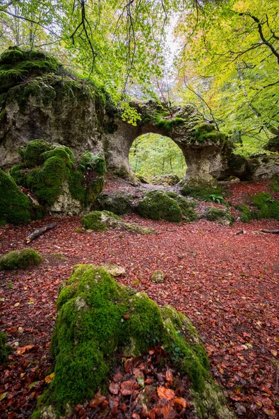 Beau Paysage Forestier Sur Saison Automne Espagne — Photo