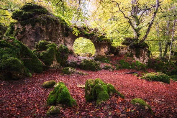 Beau Paysage Forestier Sur Saison Automne Espagne — Photo