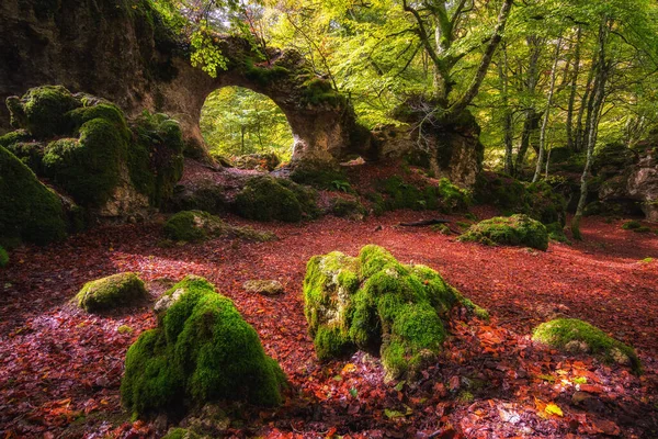 Bela Paisagem Florestal Temporada Outono Espanha — Fotografia de Stock