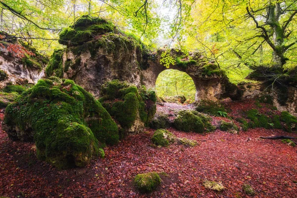 西班牙秋天美丽的森林景观 — 图库照片