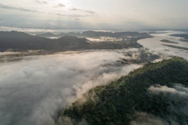 Sabahları yeşil orman ve sisli güzel dağ manzarası
