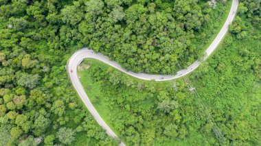 Yazın yeşil ağaçların ve yolların havadan görünüşü       
