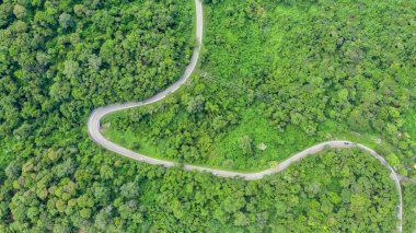 Yazın yeşil ağaçların ve yolların havadan görünüşü       