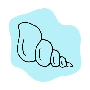 Deniz kabuğu çizimi el çizimi vektör çizimi