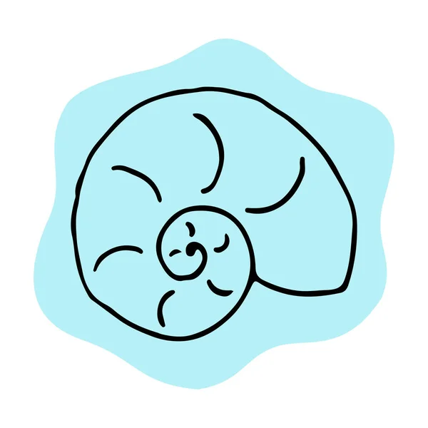 Deniz kabuğu çizimi el çizimi vektör çizimi