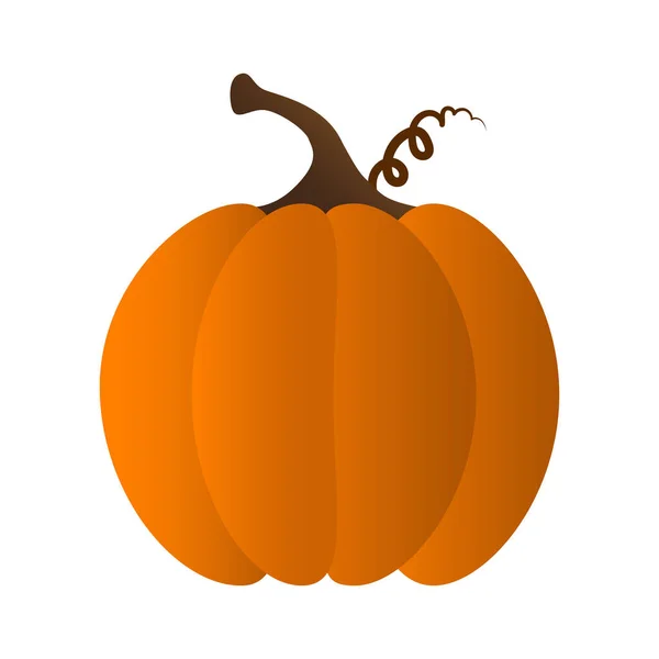 A pumpkin orange color isolated vector illustration flat design — Stock Vector