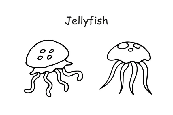 Medusas en blanco y negro. Doodle esboza ilustración aislada. Diseño dibujado a mano. Criaturas marinas, vida submarina — Vector de stock