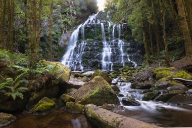 Yağmur Ormanındaki Huzurlu Şelale