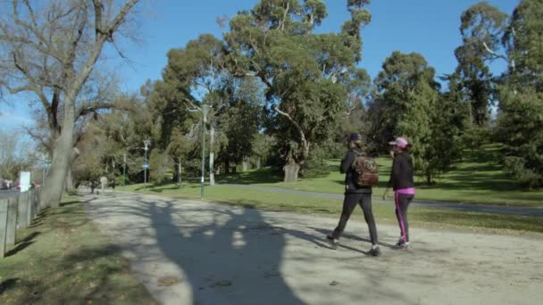 Люди Пішохідному Шляху Парку — стокове відео