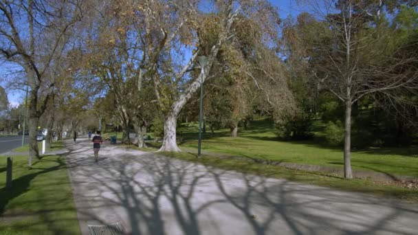 Les Gens Faisant Jogging Long Une Piste Marche Dans Parc — Video