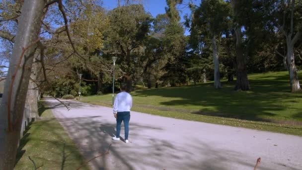 一个人沿着公园里的小径慢跑 — 图库视频影像