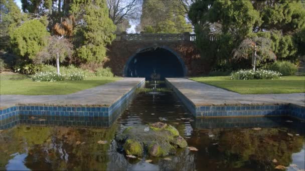 植物园内设有喷泉的水系结构 — 图库视频影像