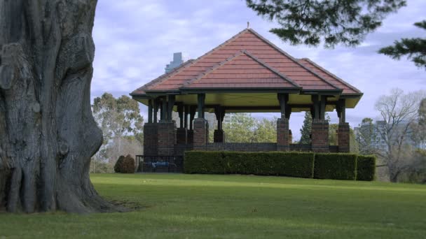 植物园中的一个老野餐区 — 图库视频影像