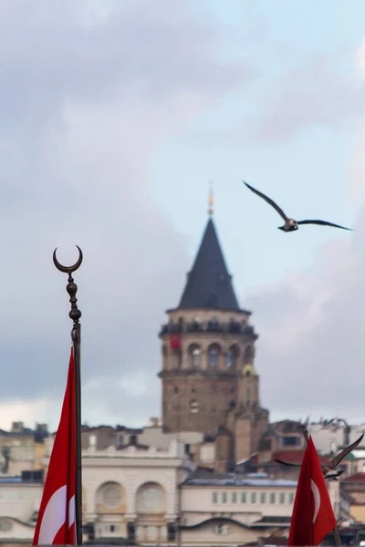 Galata tower, seagull and islamic symbol moon